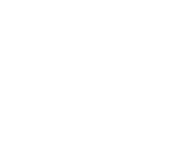 Encanto Wig Tools